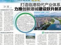打造职业新高度：东莞电工证职业路径探索(东莞电工证在哪考)